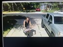 Broadmoor Porch Pirate (1251765)