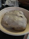 More Fall Breadmaking (1252684)