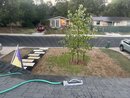 Sprinkler Experiments (1252683)