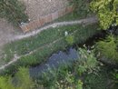 Drone Shots - 2022 - Week 40 (1255789)