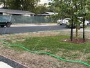 October Yard Work (1255877)