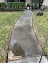 Cedar Fence Power Washing (1257602)