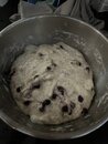 Xmas Cookie Baking (1264804)