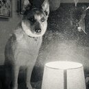 Weaverville Winter Trip 2023