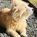 Christmas Atti 2022 (1267670)