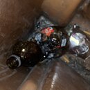 Random January Photos (1267905)