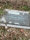 Exploring the Wilson Cemetery (1268108)