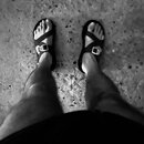 Random January Photos (1268290)