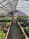 Carolina Native Nursery Outing (1278476)