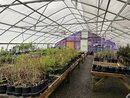 Carolina Native Nursery Outing (1278613)