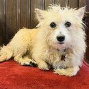 First Full Day in the Church (1278619)