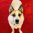 First Full Day in the Church (1278742)