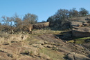 Enchanted Rock with Amy Ivy (24991)