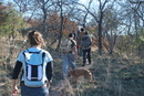 Enchanted Rock with Amy Ivy (24839)