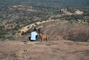 Enchanted Rock with Amy Ivy (24968)