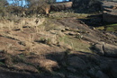 Enchanted Rock with Amy Ivy (24698)