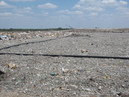 The Dallas Landfill (25728)