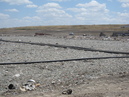 The Dallas Landfill (25730)