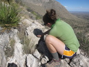 Guadalupe Mountains State Park (26873)