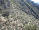 Guadalupe Mountains State Park (26734)