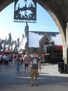 Harry Potter World (27509)