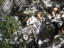 Guadalupe Mountains State Park (26857)