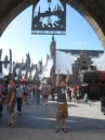 Harry Potter World (27484)