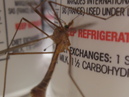 Refrigerator MosquitoHawk (30769)