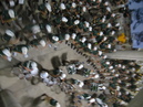 Baylor and Rice Game (33004)