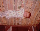 Kevin Ludlow Baby Pictures (34286)