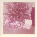 Old Family Photos (34706)