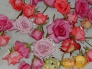 After Wedding Roses (841)