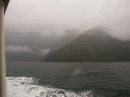 Milford Sound (1529)