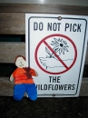 Flat Stanley Pictures (1392)