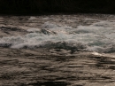 Huka Falls (1602)