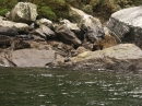 Milford Sound (1495)