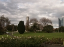Palmerston North (2303)