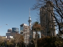 Auckland (2261)