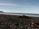 Black Sands Beach (2843)