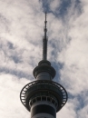 Auckland (2443)