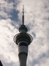 Auckland (2439)