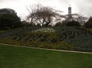 Palmerston North (2293)