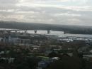 Auckland (2916)