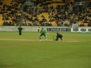 Crickett SA vs. NZ (3942)
