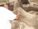 Sandcastle Competition (3993)