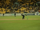 Crickett SA vs. NZ (3881)