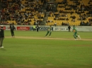 Crickett SA vs. NZ (3890)