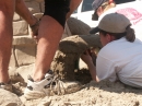 Sandcastle Competition (3969)