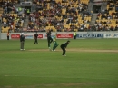 Crickett SA vs. NZ (3869)
