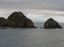 Marlborough Sound (3347)